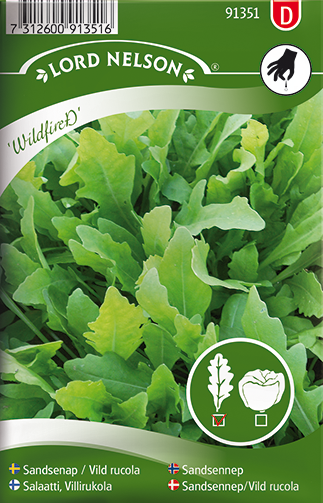 Sandsennep/Vild rucola 'Wildfire™'