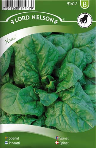 Spinat, Nores