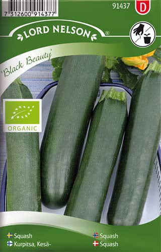 Squash, Black Beauty, Organic
