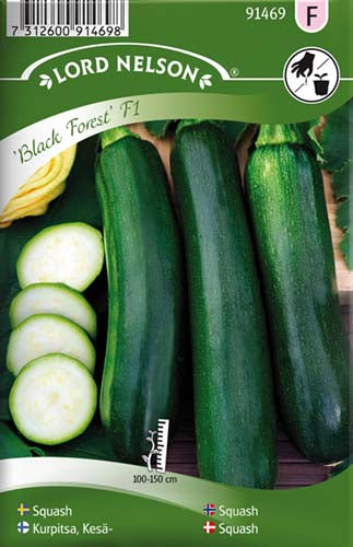 Squash, Black Forest F1