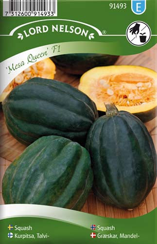 Græskar, Mandel-, Mesa Queen F1