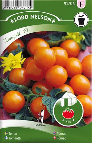 Tomat, Kirsebær-, Sungold F1