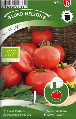 Tomat, Drivhus-, Ace 55 VF, Organic