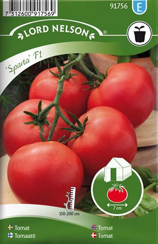Tomat, Drivhus-, Sparta F1