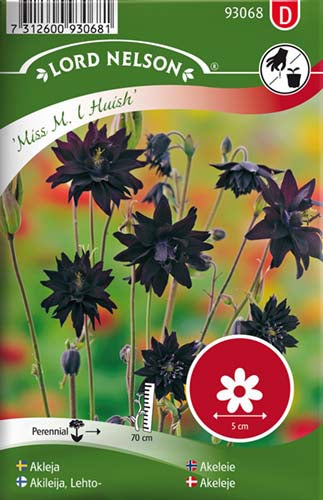 Akeleje, Miss M. I Huish