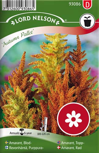 Amarant, rød, autumn pallet