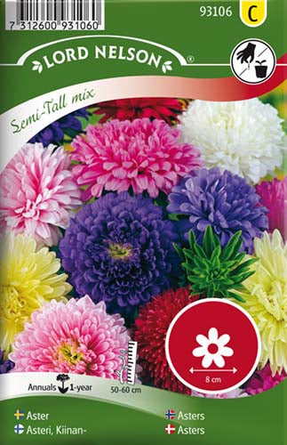 Asters, Sommer-, dobbelt, bl. farver