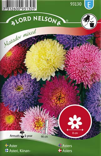 Asters, Sommer-, Matador, bl.farver