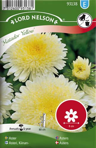 Asters, Sommer-, Matador, gul