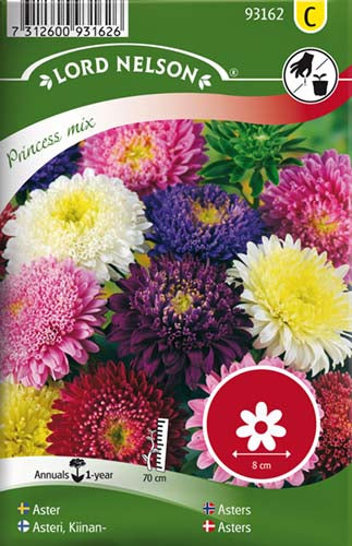 Asters, Sommer-, Princess, bl.farver