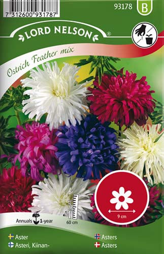 Asters, Sommer-, strudsefjer, bl.farver