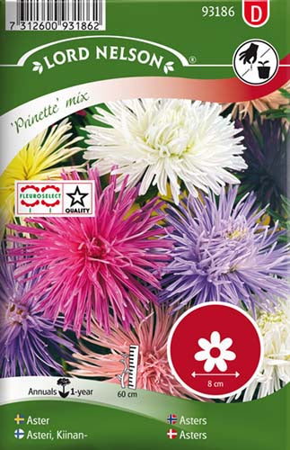 Asters, Sommer-, Prinette, bl.farver