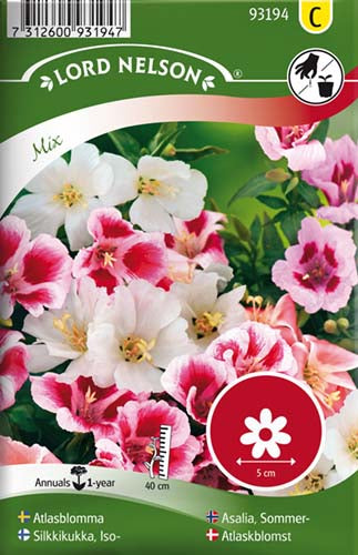 Atlaskblomst, bl. farver