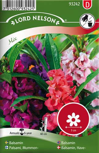 Balsamin, Have-, bl. farver
