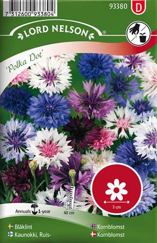 Kornblomst, lav, Polka Dot, bl. farver