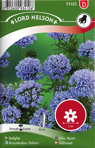 Blåhoved, lavendelblå