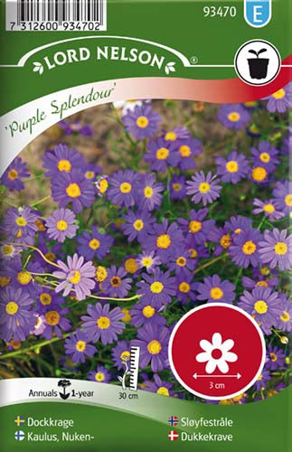 Dukkekrave, Purple Splendour, blå