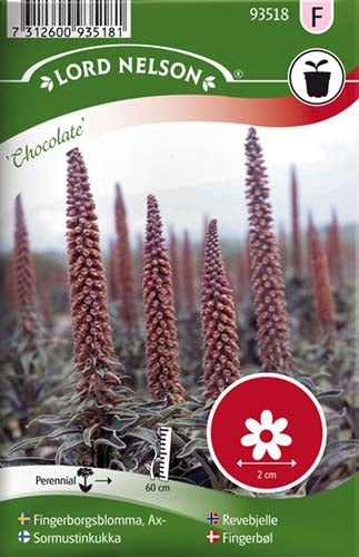 Fingerbøl, Chocolate