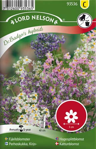 Fattigmandsorkide, Dr. Badger's, bl.farv