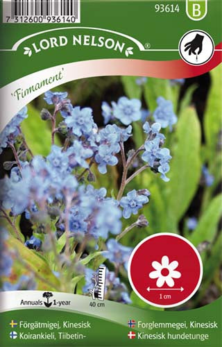 Kinesisk hundetunge, Firmament, blå