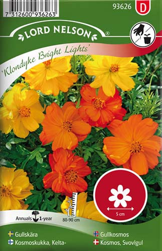 Kosmos, Svovlgul, Bright Lights, rødgul