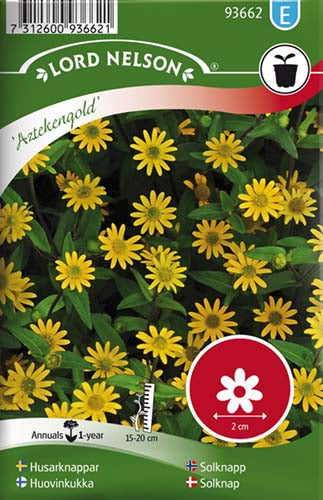 Solknap, Aztekengold, gul