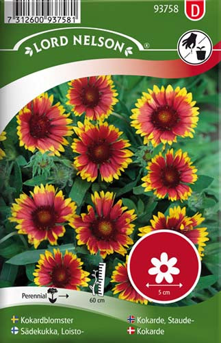 Kokarde, Stor, bl. farver