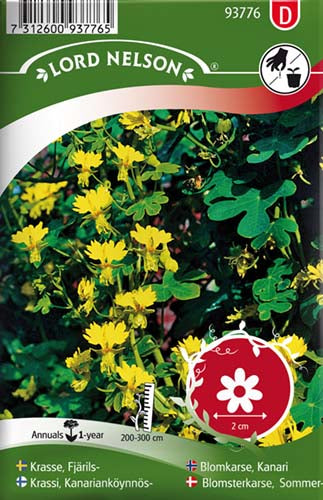 Blomsterkarse, Sommerfugle-