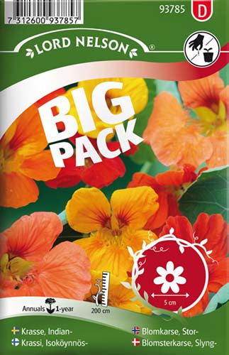 Blomsterkarse, Slyng-, Blanding, Big Pack