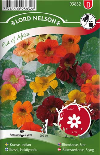 Blomsterkarse, Slyng-, Out of Africa