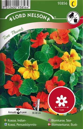 Blomsterkarse, Busk-, Tom Thumb, bland.