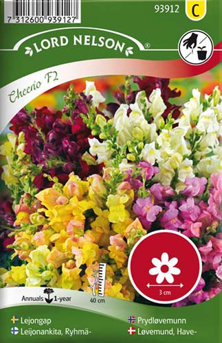 Løvemund, Have-, lav, Cheerio F2, bl.far