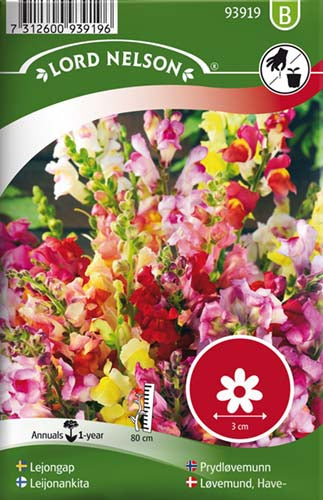 Løvemund, Have-, høj, bl. farver