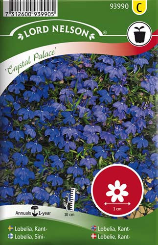 Lobelie, Kant-, Chrystal Palace, blå