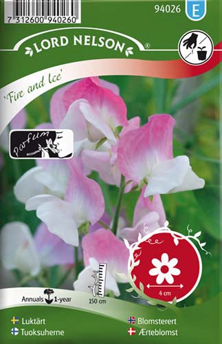 Ærteblomst, Fire and Ice