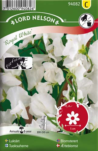 Ærteblomst, Royal White, hvid