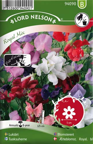 Ærteblomst, Royal, bl. farver