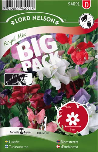 Ærteblomst, Royal, bl. farver, Big Pack