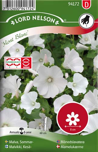 Mamelukærme, Mont Blanc, hvid