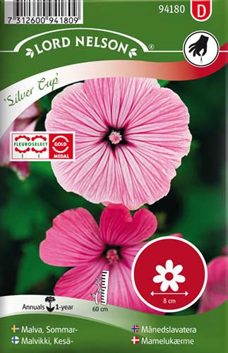 Mamelukærme, Silver Cup, rosa