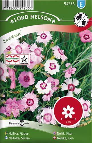 Nellike, Fjer-, Sweetness, bl. farver