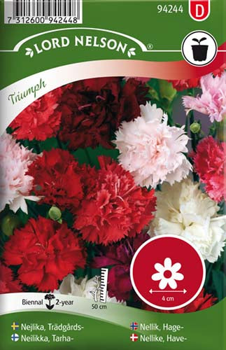 Nellike, Have-, Triumph, bl. farver