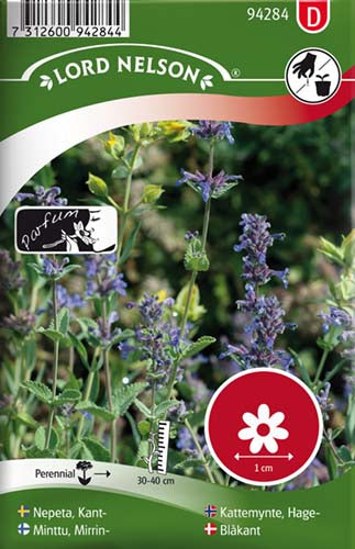 Blåkant, Almindelig