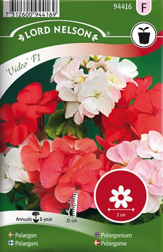 Pelargonie, Video F1, bl. farver