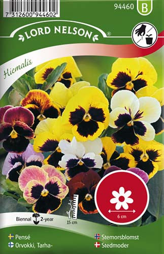 Stedmoder, Hiemalis, bl. farver