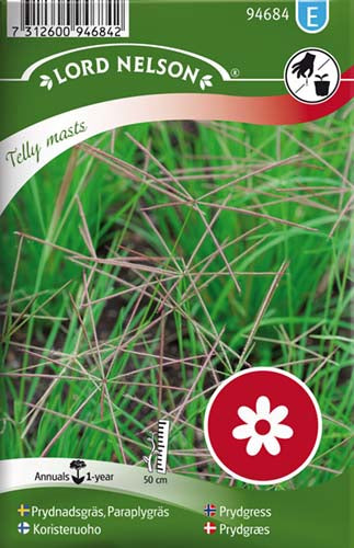 Prydgræs, Tellymasts