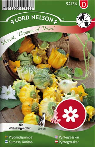 Pyntegræskar, Crowns of Thorns