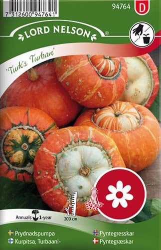 Pyntegræskar, Turk´s Turban