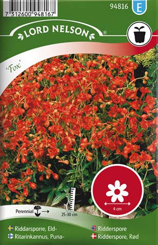 Ridderspore, Rød, Fox