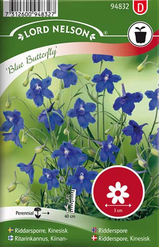 Ridderspore, Kinesisk, Blue Butterfly